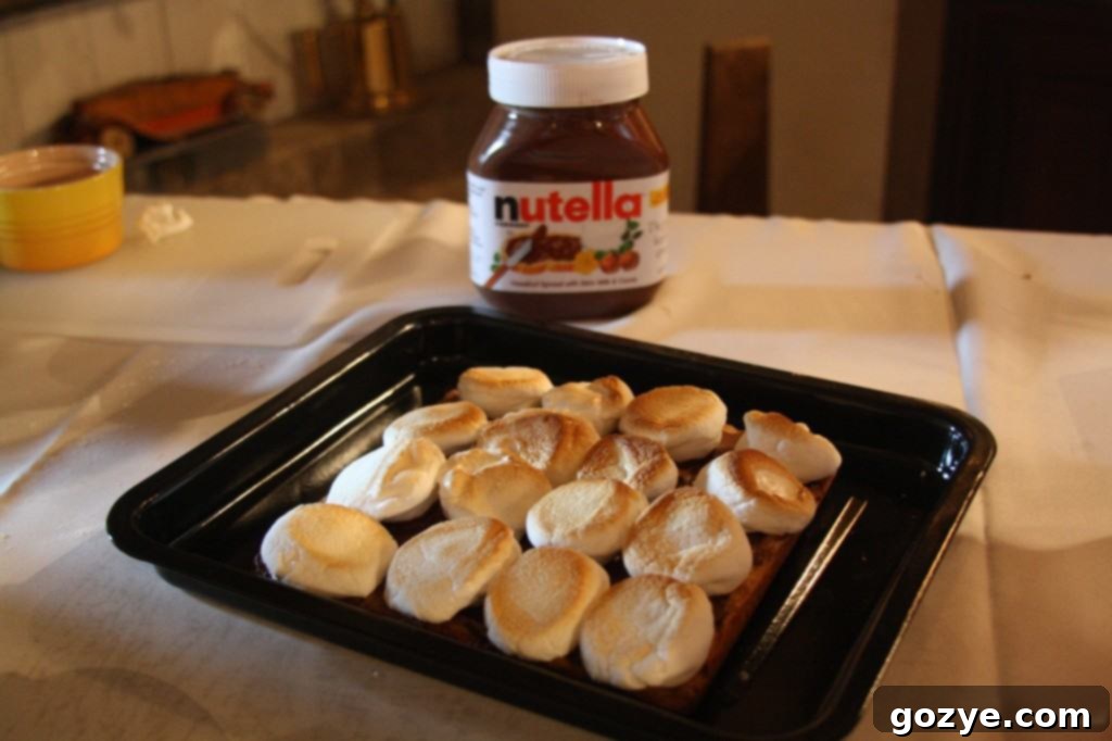 A final shot of the delectable Toasted Marshmallow Squares