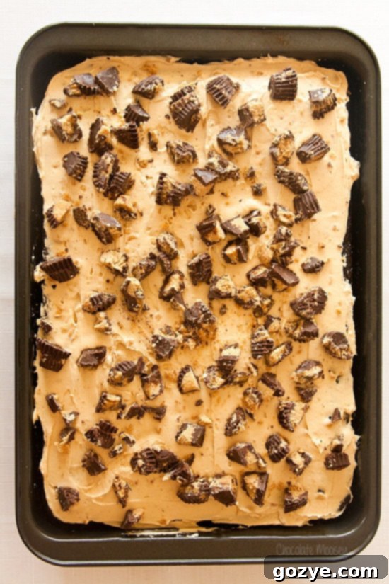 Decadent Chocolate Peanut Butter Cake with creamy peanut butter frosting and whole peanut butter cups on top