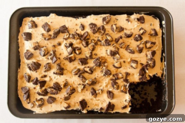 Close-up of a slice of Chocolate Peanut Butter Cake revealing moist chocolate layers and fluffy peanut butter frosting