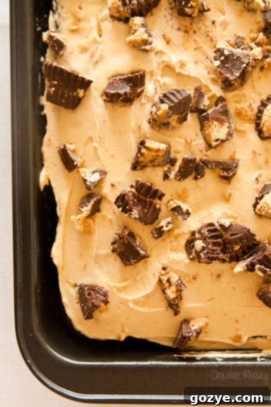 Overhead view of a rectangular Chocolate Peanut Butter Cake adorned with peanut butter cups