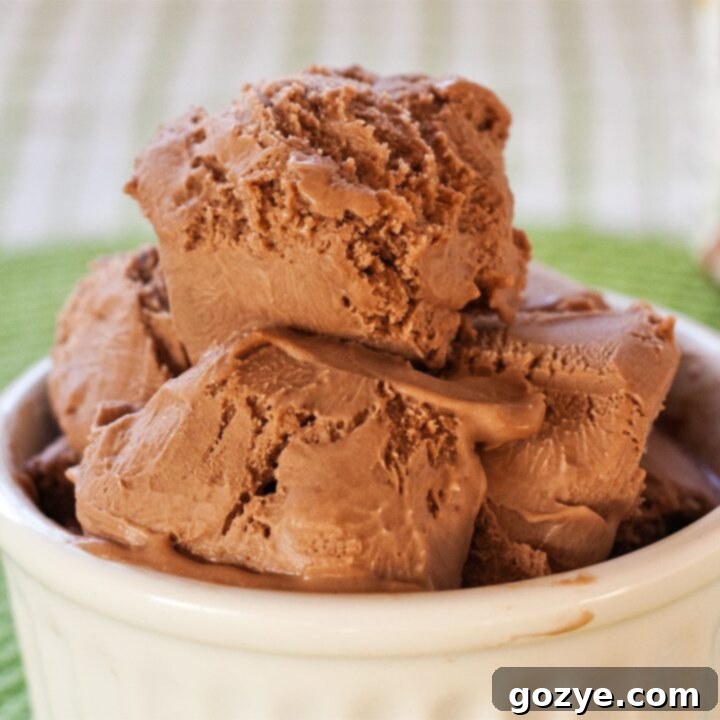 Close up of Nutella ice cream in a white bowl
