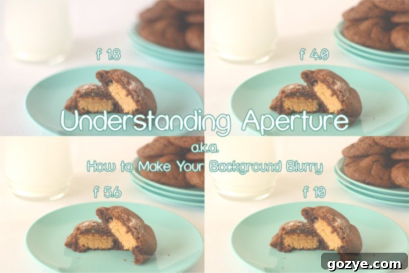 Understanding Aperture (a.k.a How To Make Your Background Blurry) from www.chocolatemoosey.com Understanding Aperture (a.k.a How To Make Your Background Blurry)