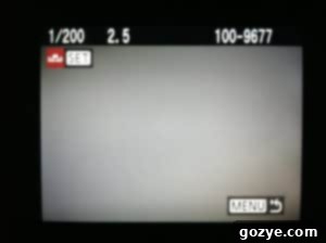 Capturing White Balance Reference Photo