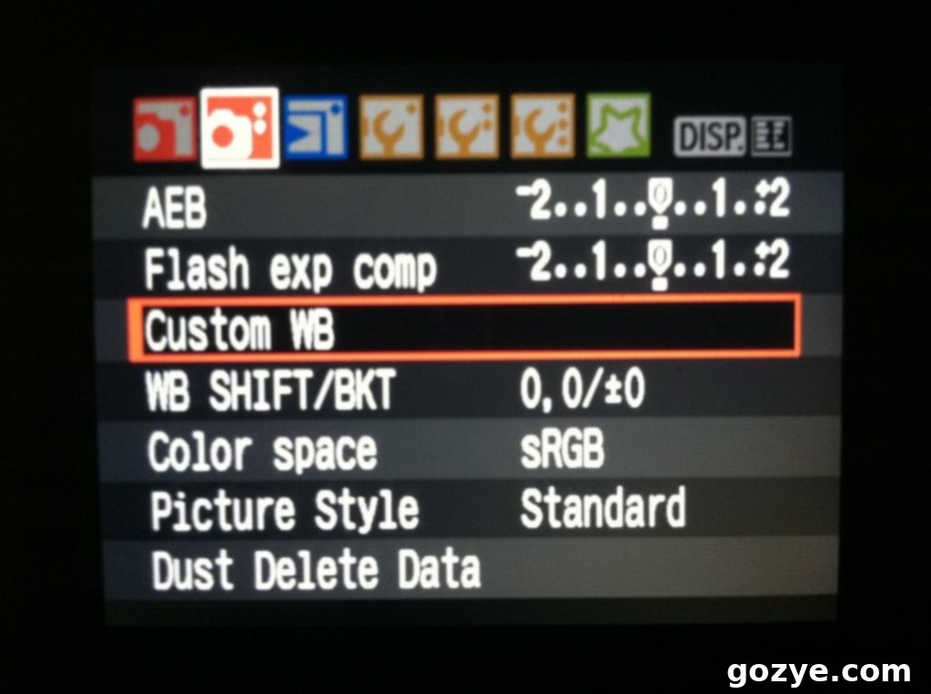 Camera Settings for Custom White Balance