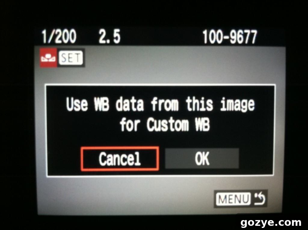 Selecting White Balance Reference Image