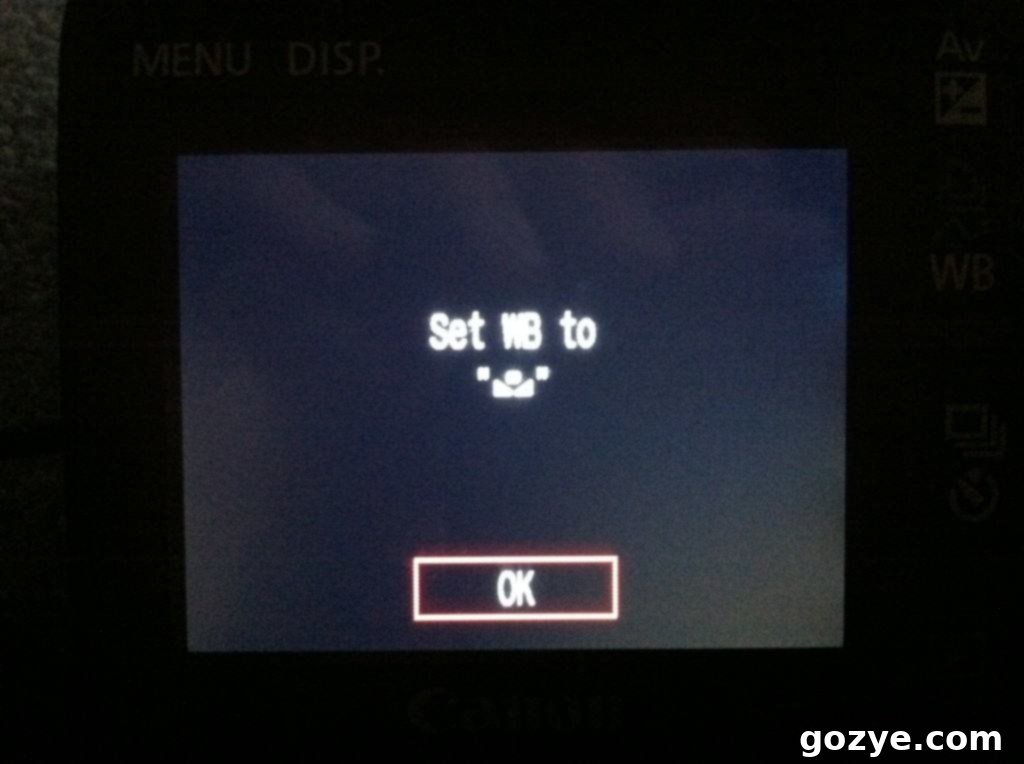 Confirming Custom White Balance Setting
