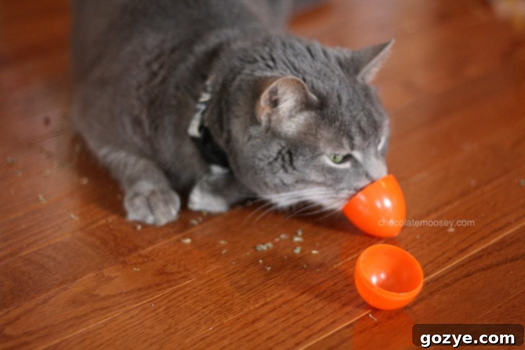 Murray Playing with Easter Egg Auto WB