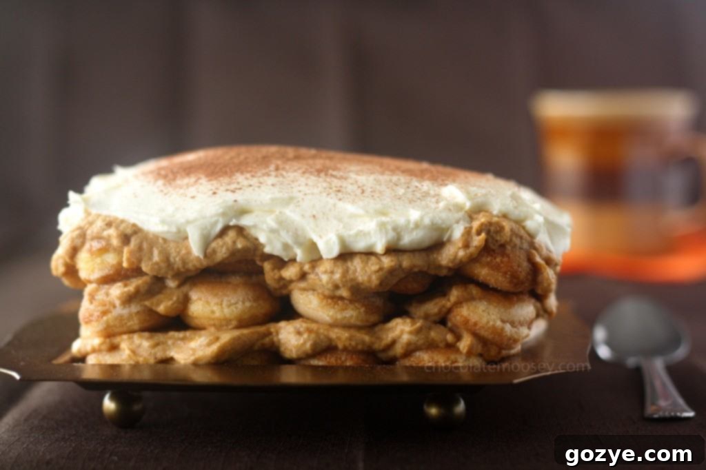 Overhead view of Pumpkin Tiramisu showing the texture of the pumpkin and mascarpone layers.