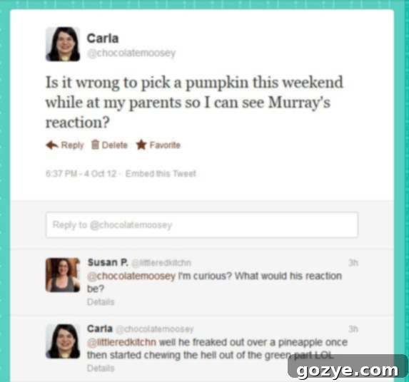 Understanding Twitter Part 2 - Why You Should Use Twitter