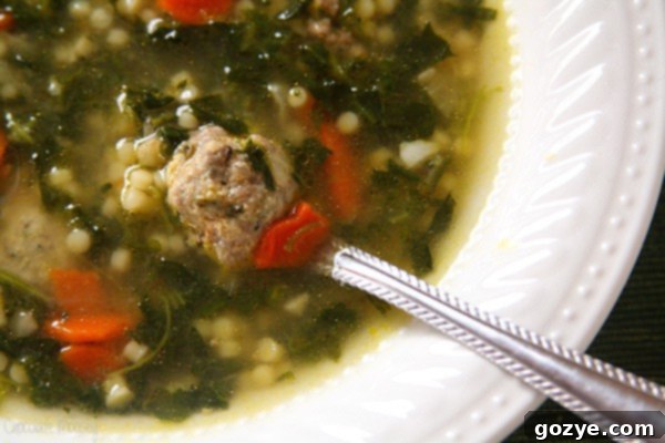 A bowl of easy Italian Wedding Soup recipe, showcasing the pasta and small meatballs.