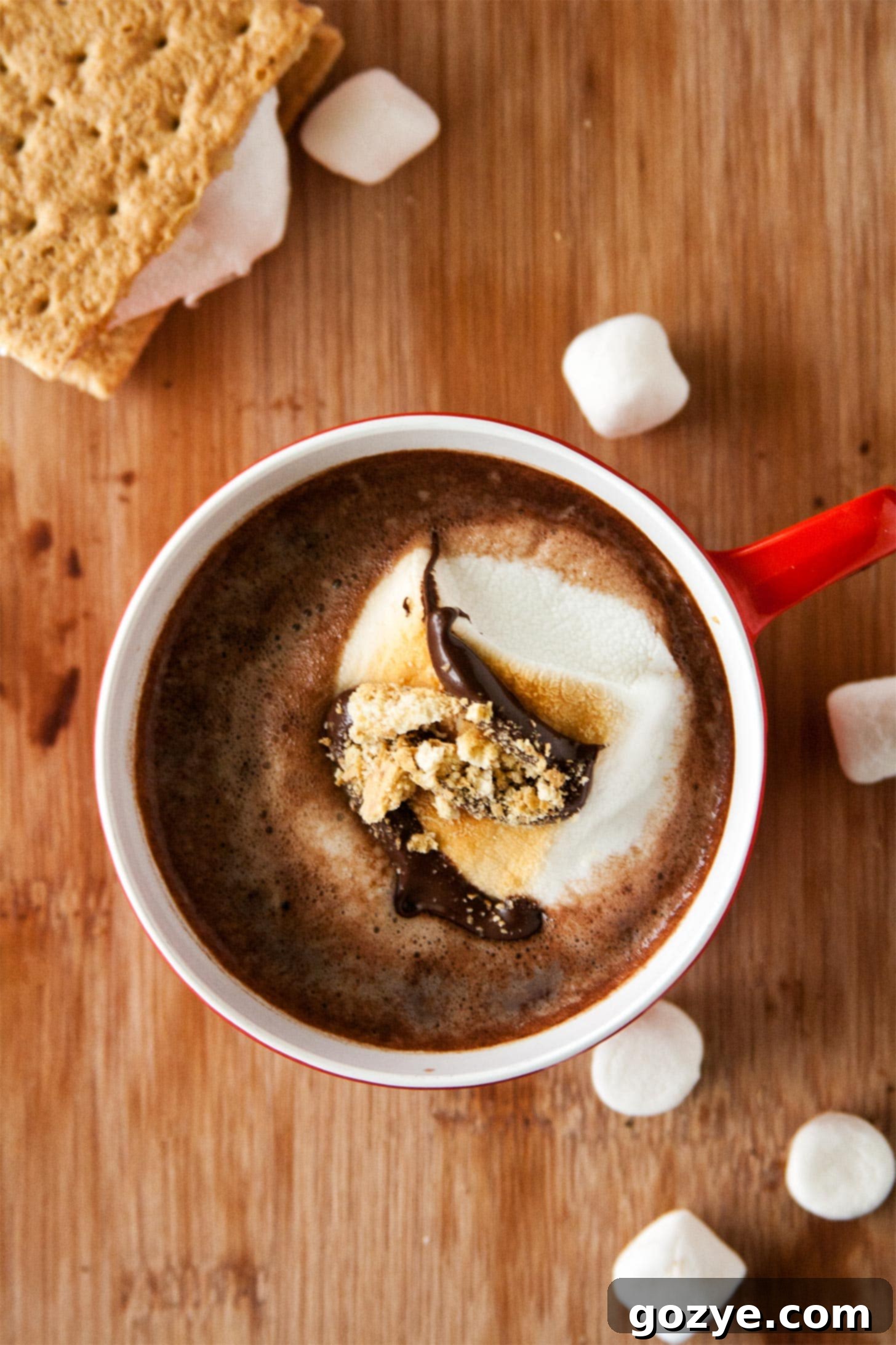 S'mores Hot Chocolate 5 Overhead shot of s'mores hot cocoa with marshmallows