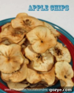 Spiced Apple Chips from Chocolate, Chocolate and More Homemade Spiced Apple Chips recipe