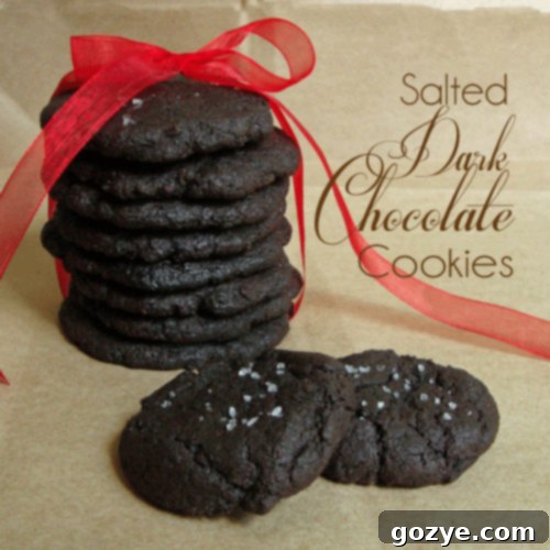 Salted Dark Chocolate Cookies from Chocolate, Chocolate, and More Irresistible Salted Dark Chocolate Cookies recipe
