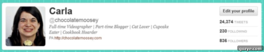 Understanding Twitter Part 4 - Maximizing Blog Traffic Strategies for blog traffic growth using Twitter