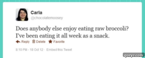 Understanding Twitter Part 4 - Maximizing Blog Traffic from www.chocolatemoosey.com Building personal connections on Twitter for blog growth