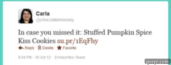 Understanding Twitter Part 4 - Maximizing Traffic from www.chocolatemoosey.com Optimal Twitter posting frequency for blog traffic
