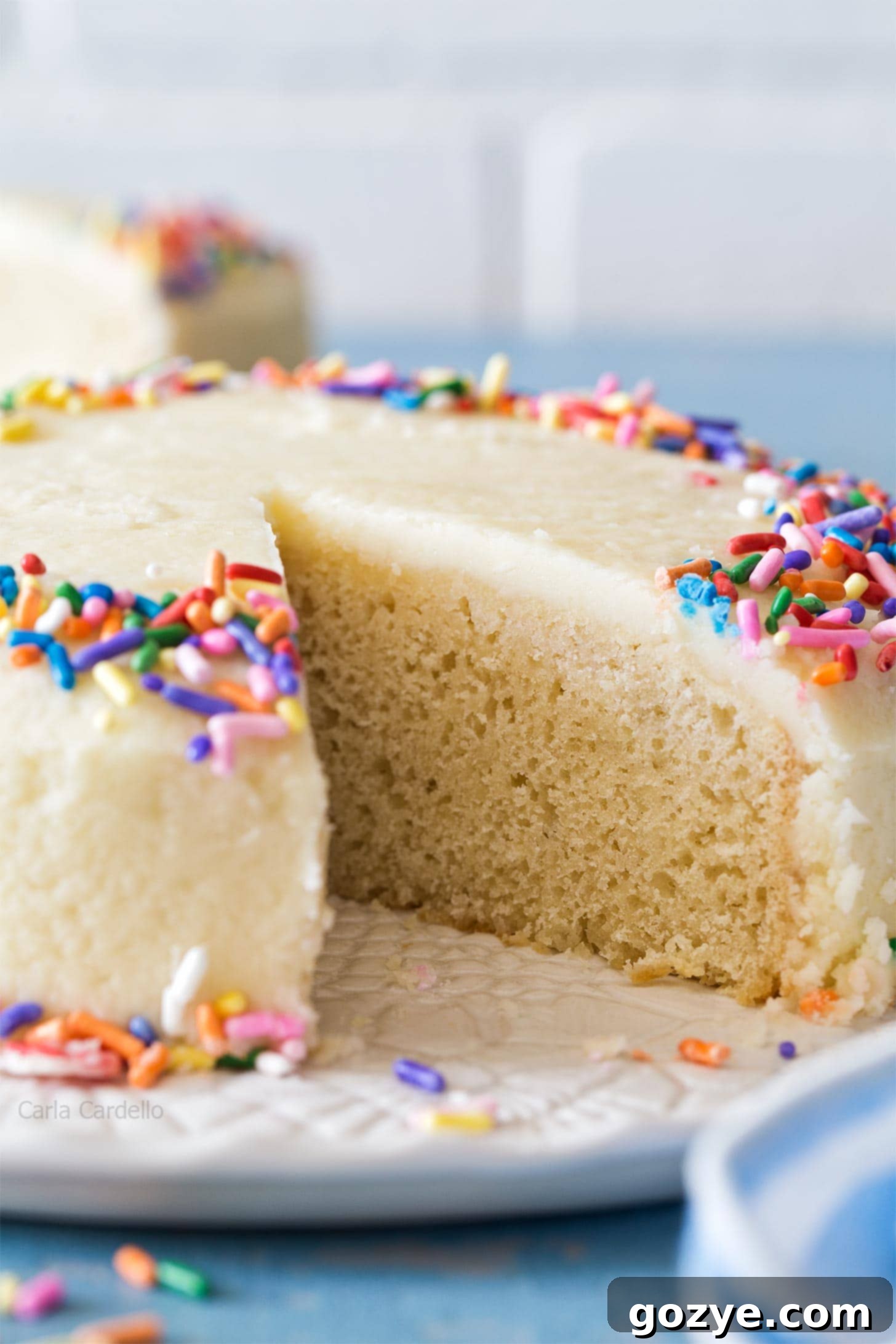 Close-up view of the tender, moist crumb of a 6-inch vanilla cake, showcasing its perfect texture.