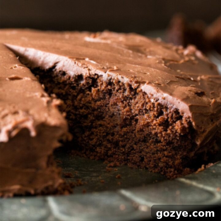 Close up of one layer chocolate cake