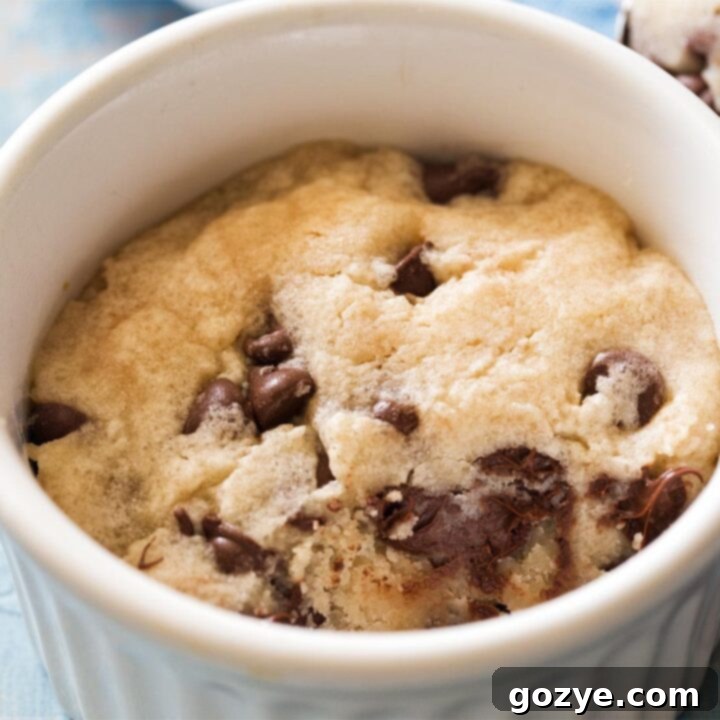 Close up of microwave chocolate chip cookie