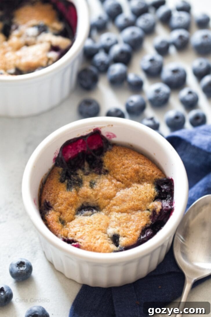 Blueberry Cobbler in white ramekin without ice cream on top
