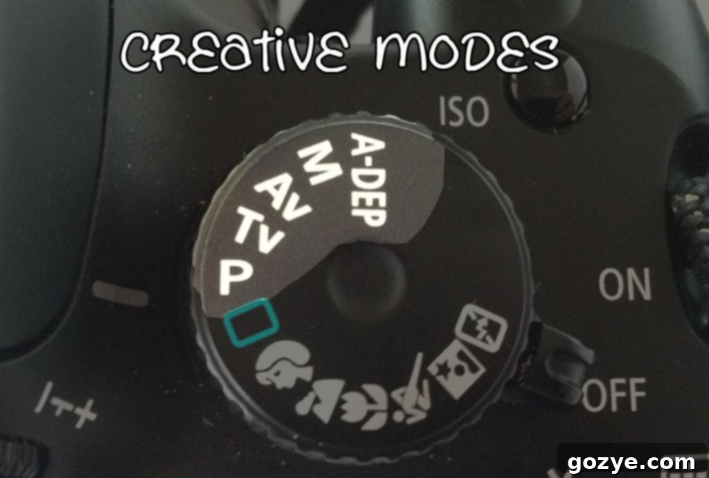 Understanding Your Camera - Creative Modes