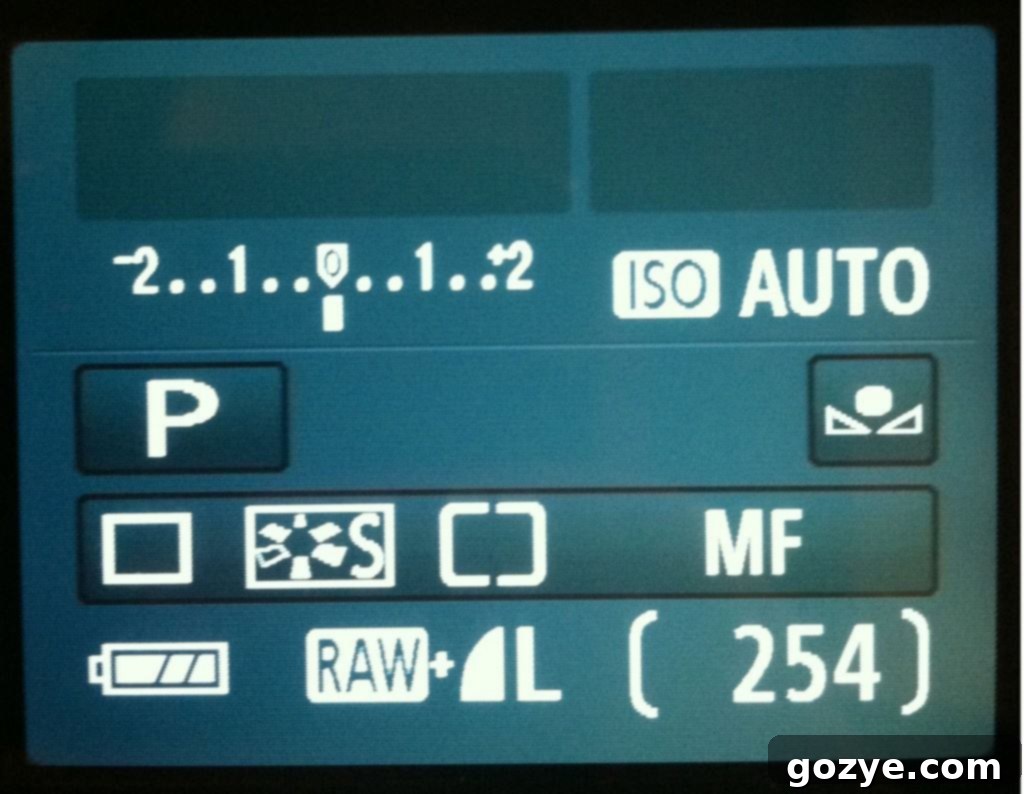 Understanding Your Camera - Shooting Modes
