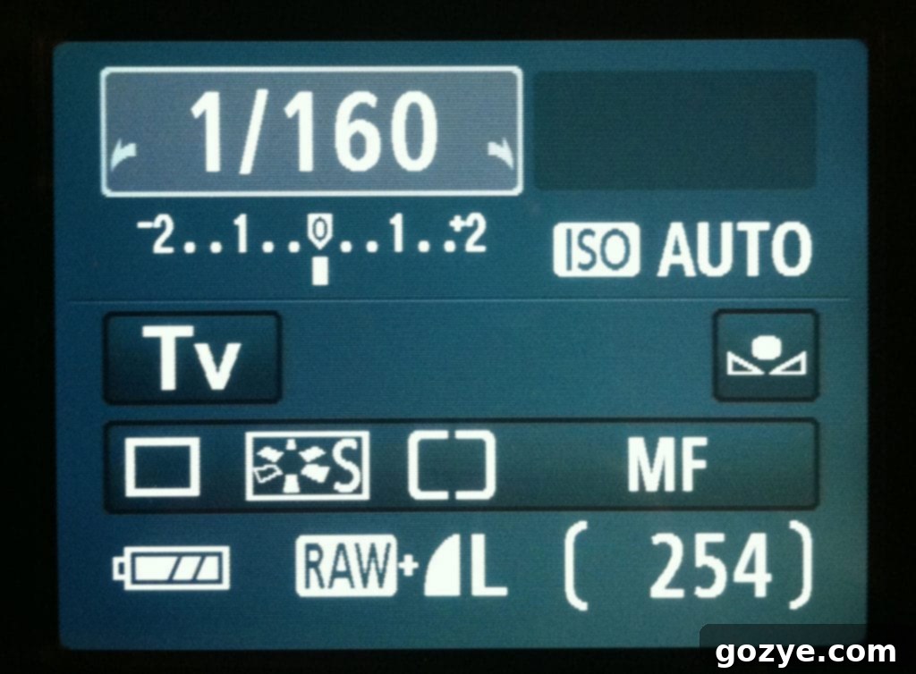 Understanding Your Camera - Shooting Modes