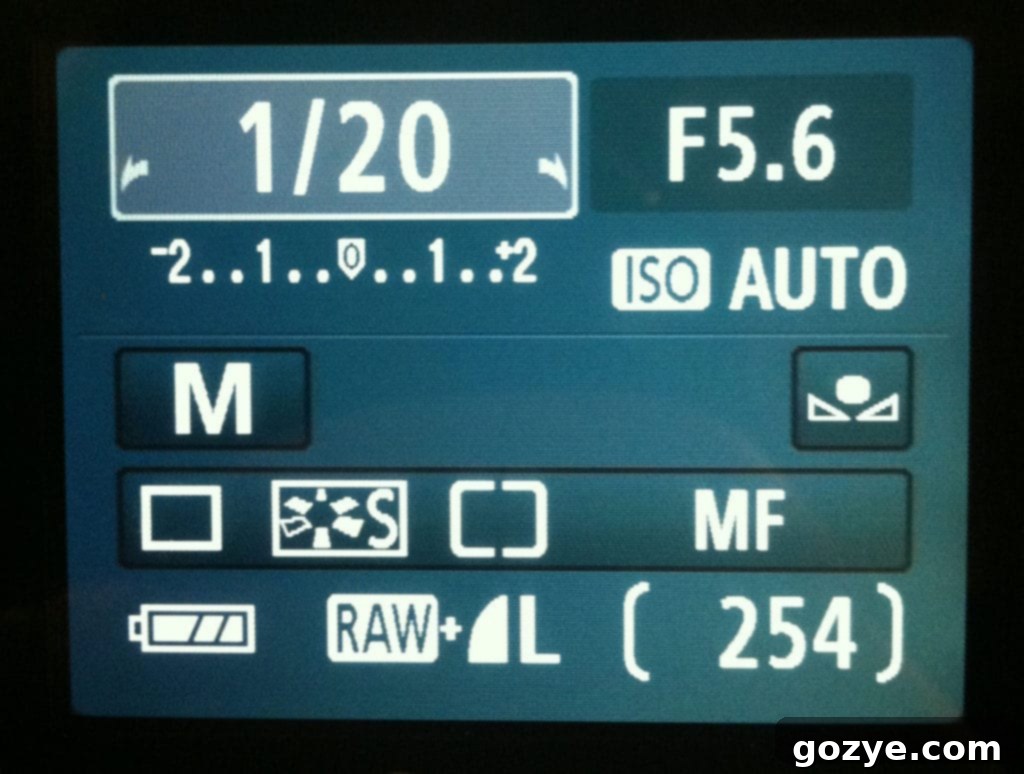 Understanding Your Camera - Shooting Modes