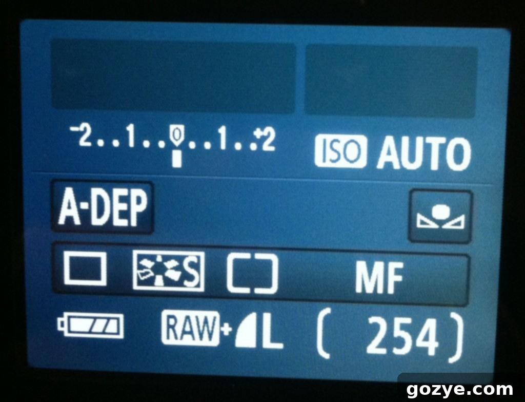 Understanding Your Camera - Shooting Modes