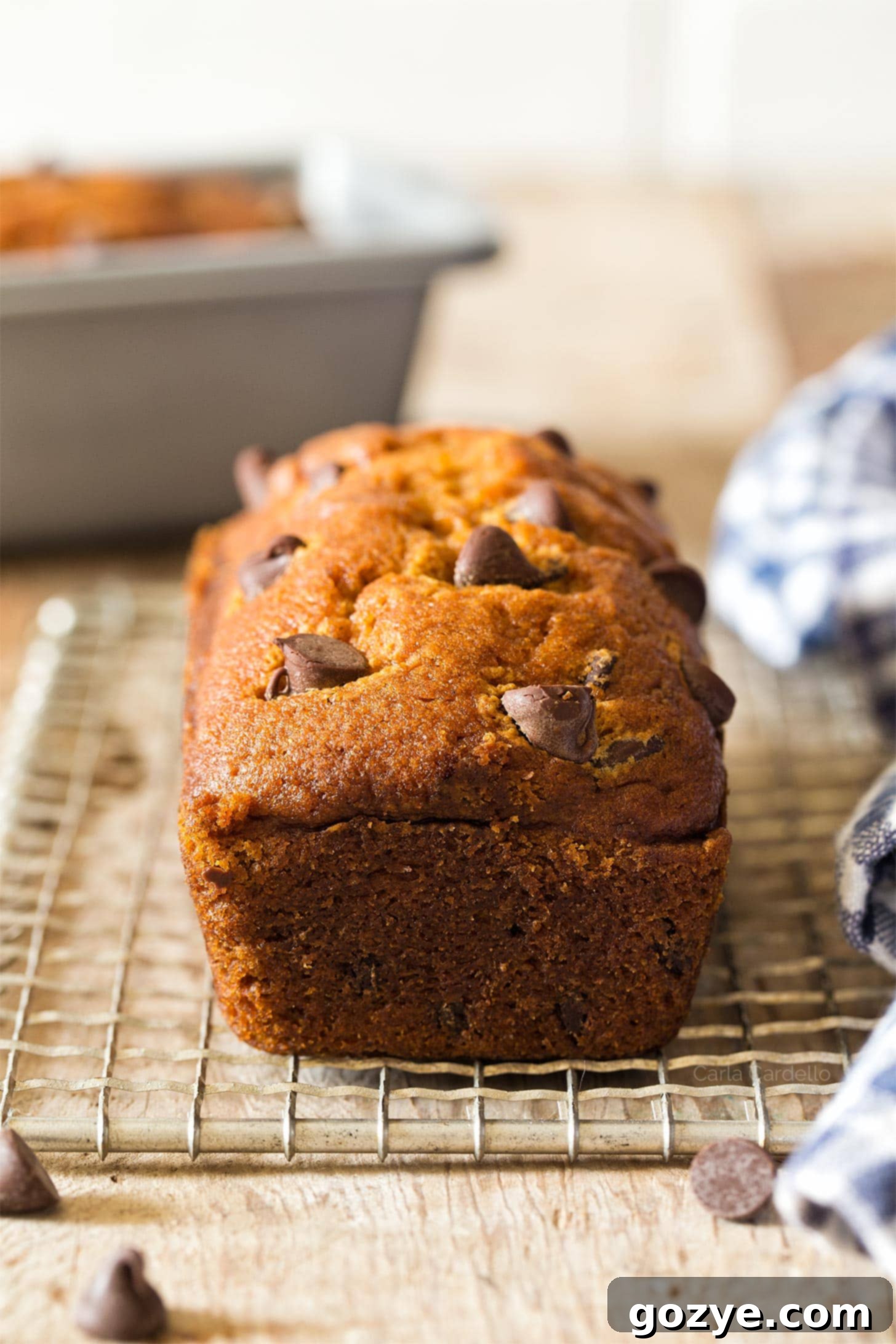Close up of a finished mini pumpkin bread, showing its moist crumb and chocolate chips.
