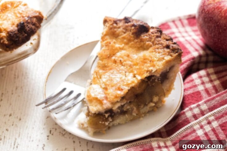 Small apple pie slice with details