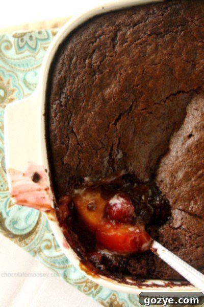 Warm Peach and Cherry Gingerbread Cobbler ready to be served, a perfect easy holiday dessert.