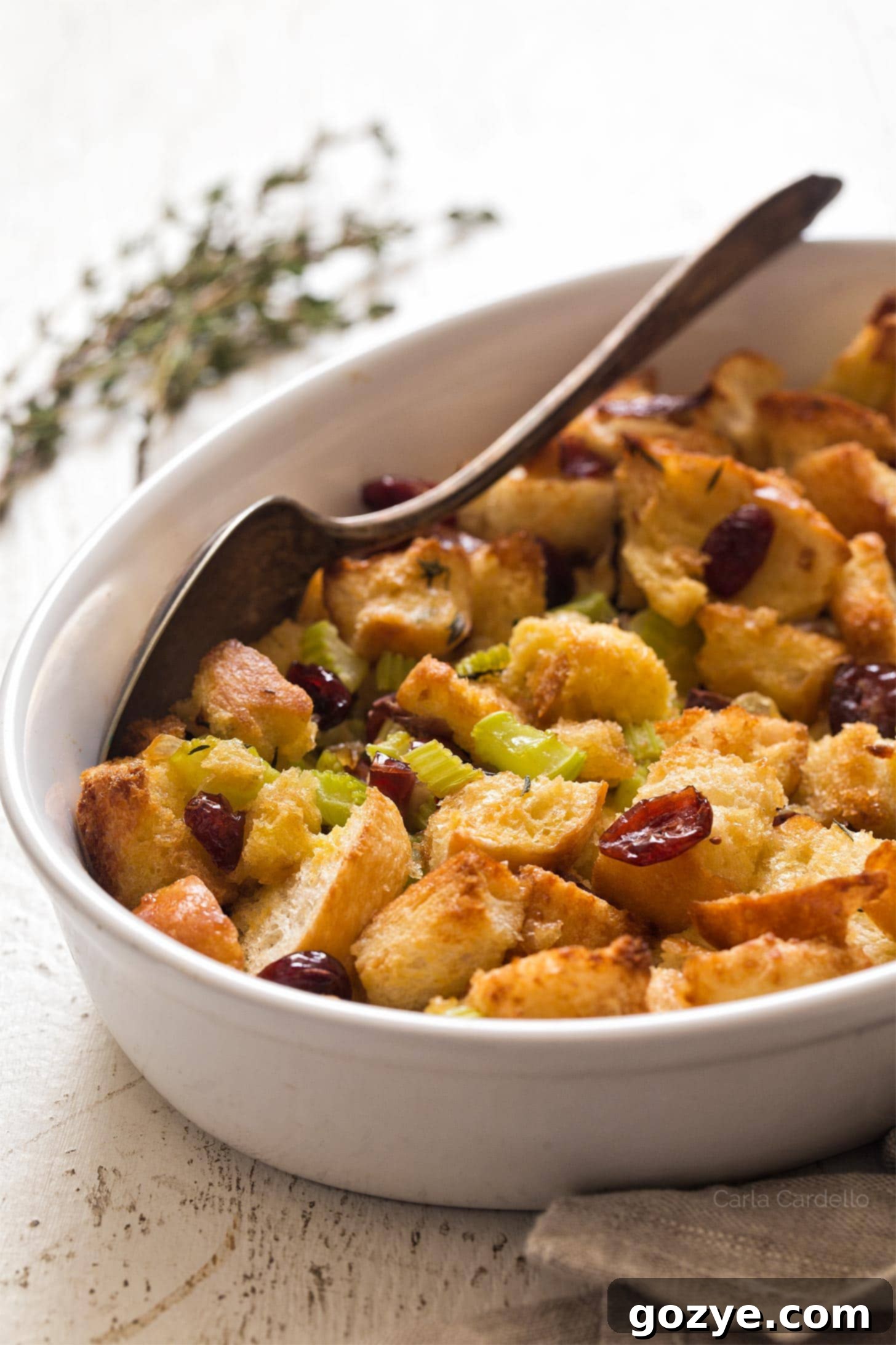 Serving spoon lifting cranberry stuffing from a casserole dish, highlighting the texture and cranberries