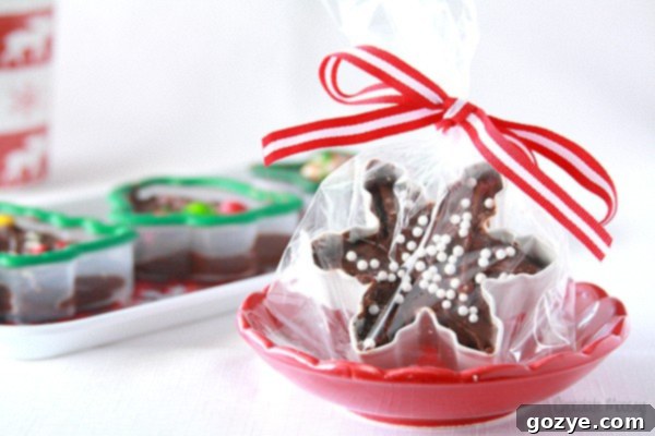Playful Fudge Shapes 2 Festive Cookie Cutter Fudge perfect for Christmas gifts and holiday celebrations