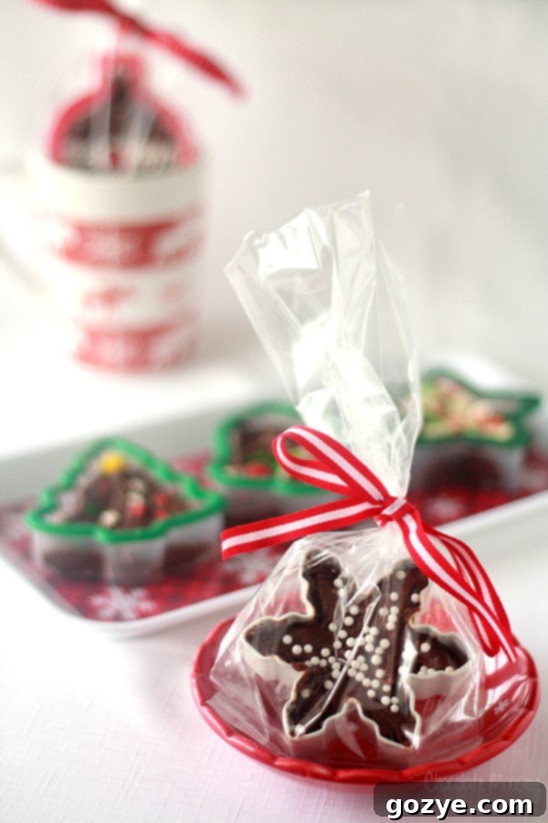 Playful Fudge Shapes 5 Close-up of beautifully decorated Cookie Cutter Fudge, ready for gifting
