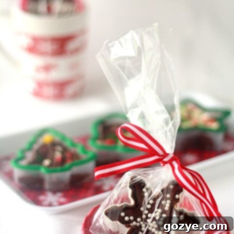Playful Fudge Shapes 6 Delicious Cookie Cutter Fudge recipe for homemade gifts
