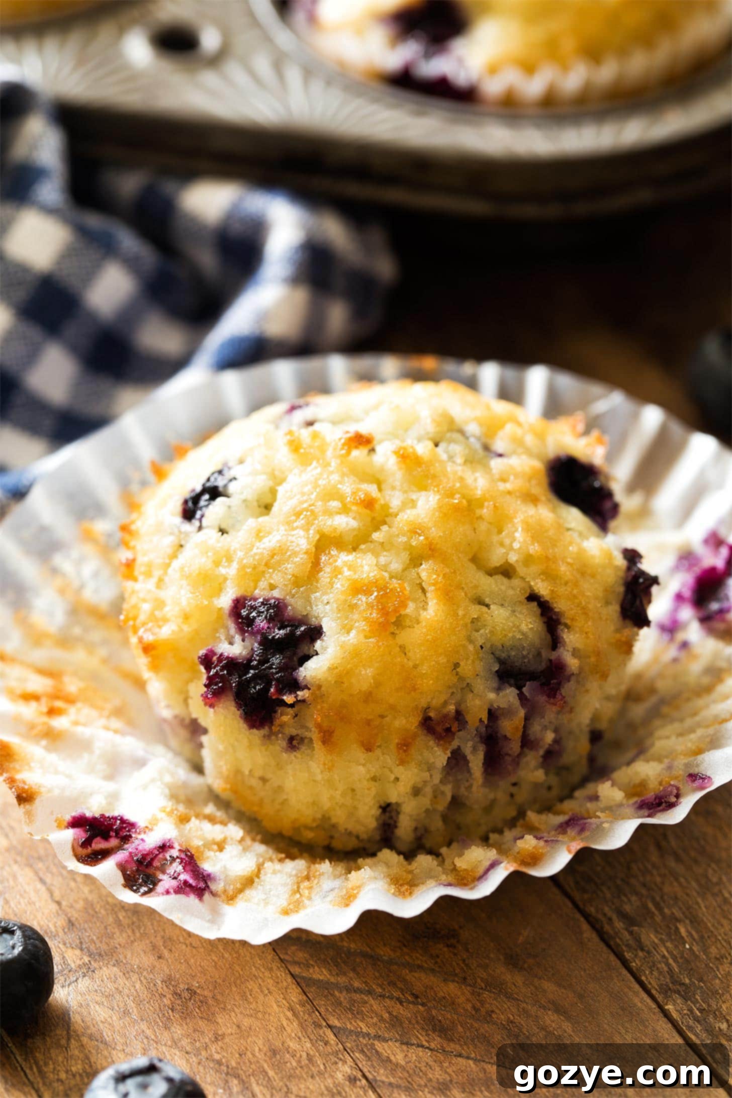 Cozy Small Batch Blueberry Muffins 1 Close up of unwrapped blueberry muffin