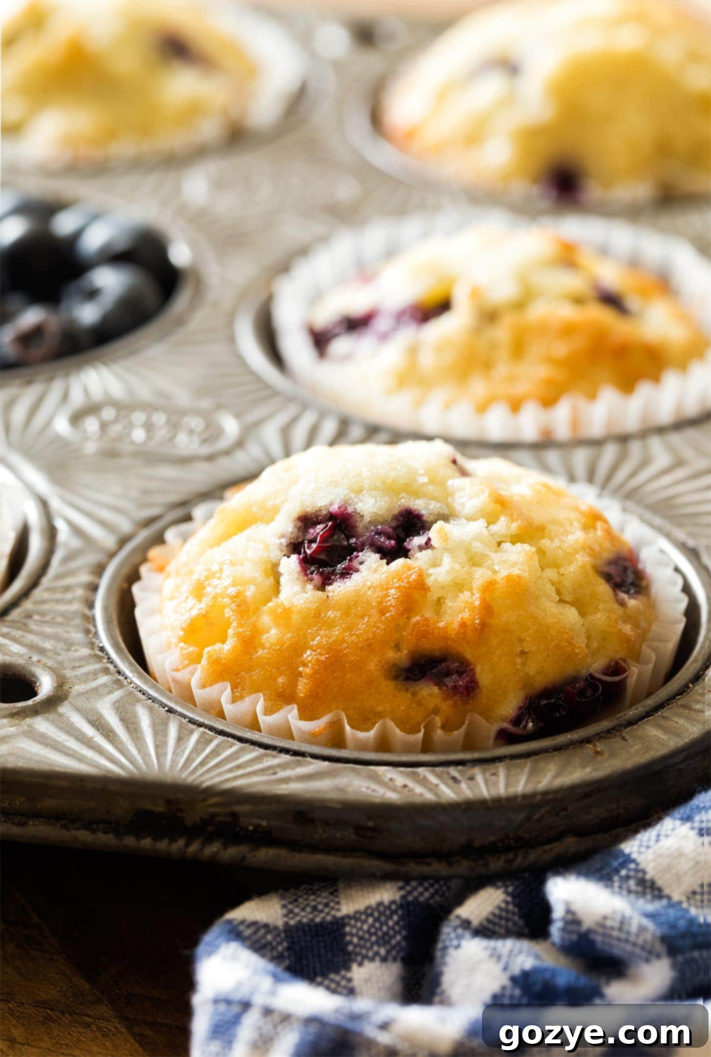 Cozy Small Batch Blueberry Muffins 6 Close up of blueberry muffins in pan