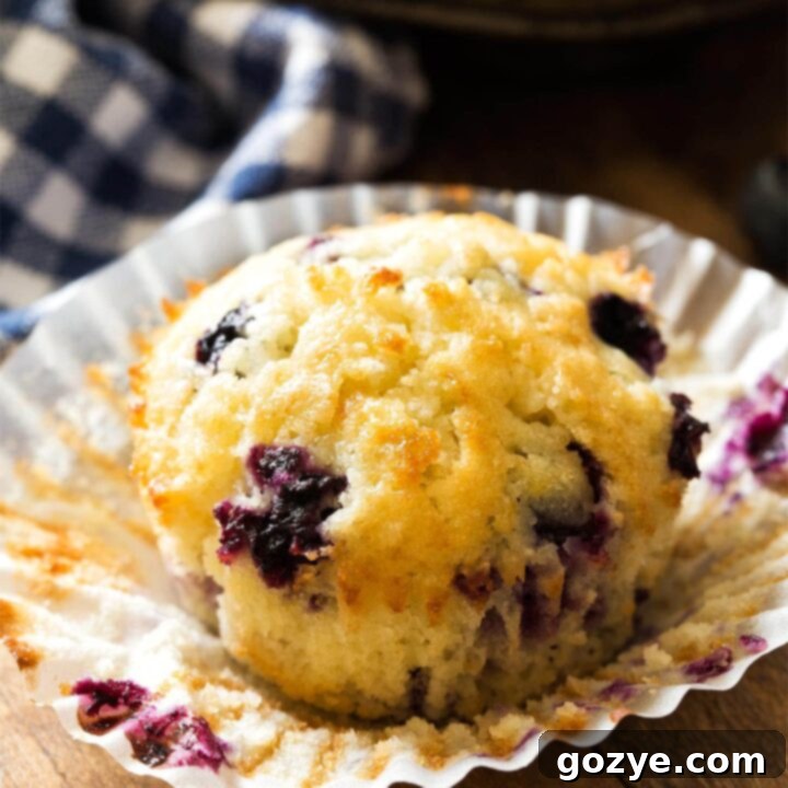 Cozy Small Batch Blueberry Muffins 9 Close up of unwrapped blueberry muffin