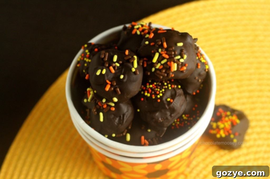 Pumpkin Gingersnap Truffles from www.chocolatemoosey.com Close-up of a Pumpkin Gingersnap Truffle, showcasing its smooth chocolate coating and festive sprinkles.