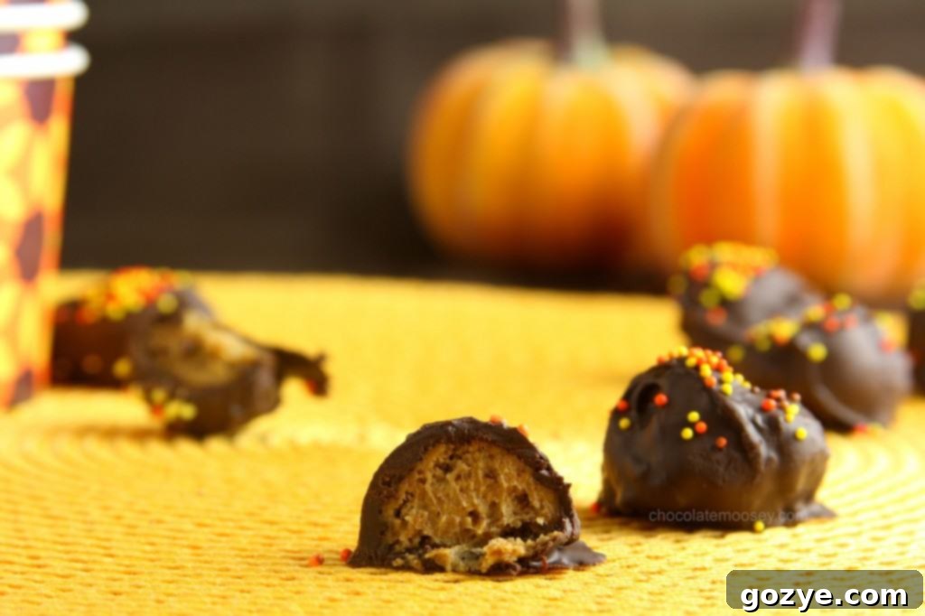 Pumpkin Gingersnap Truffles from www.chocolatemoosey.com A selection of Pumpkin Gingersnap Truffles beautifully arranged, ready to be enjoyed or gifted.