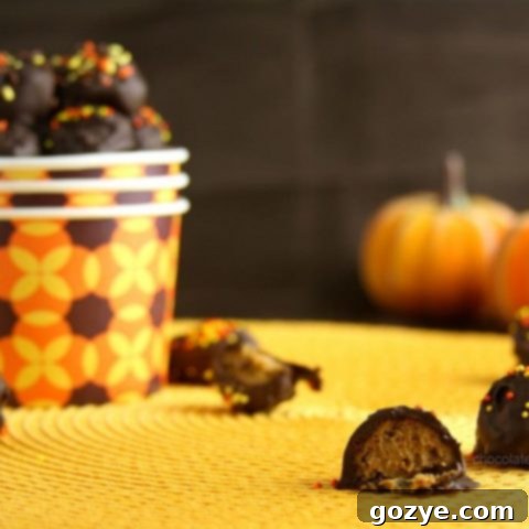 Spiced Pumpkin Gingersnap Truffles 2 Pumpkin Gingersnap Truffles arranged in a bowl, a perfect holiday dessert.