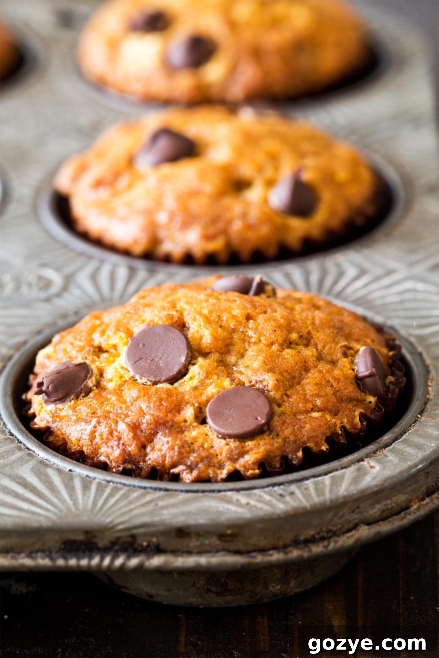 Close up of a pumpkin chocolate chip muffin still in its muffin pan