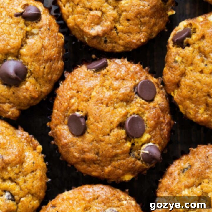 Group of chocolate chip pumpkin muffins