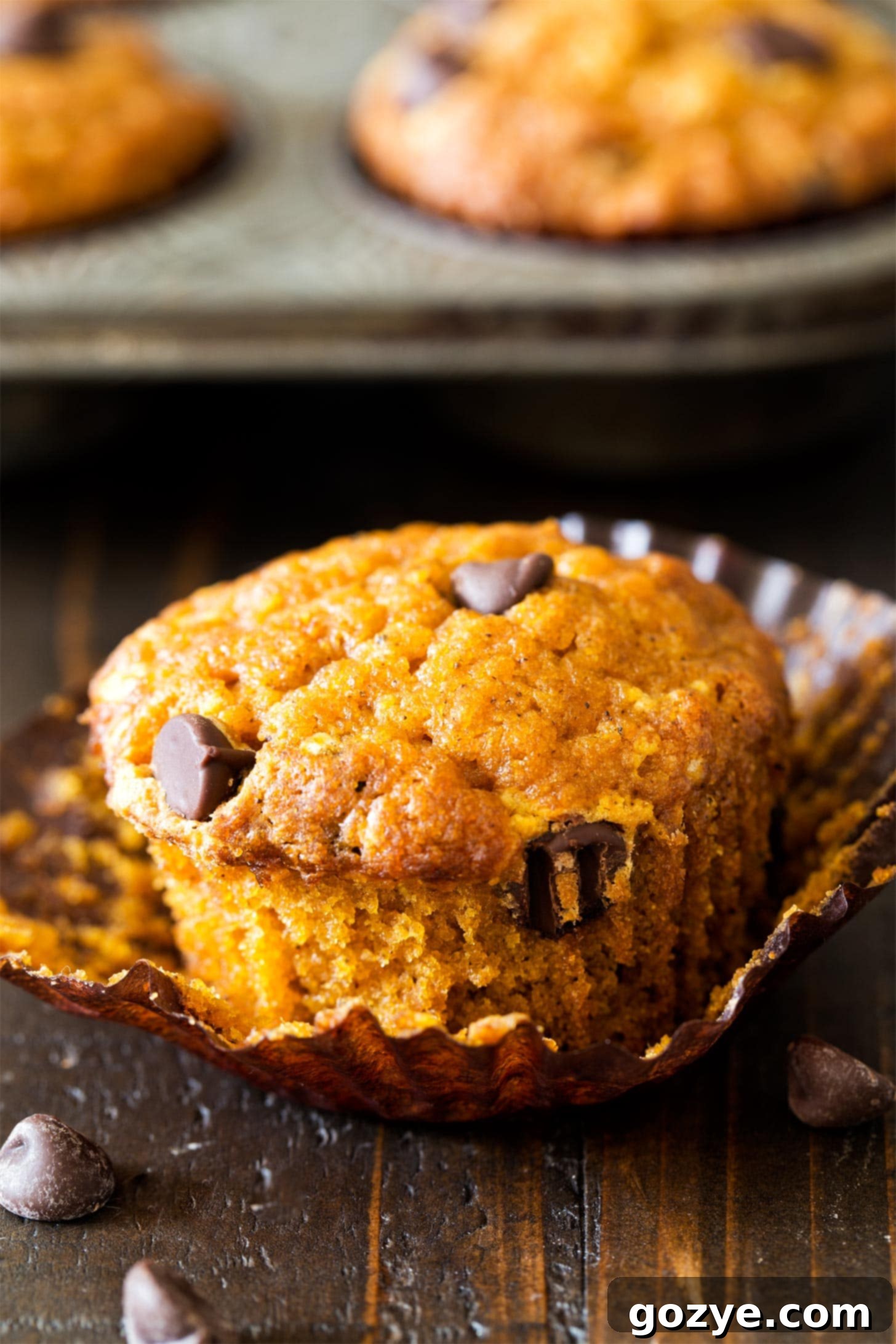 An unwrapped pumpkin chocolate chip muffin showing its moist interior