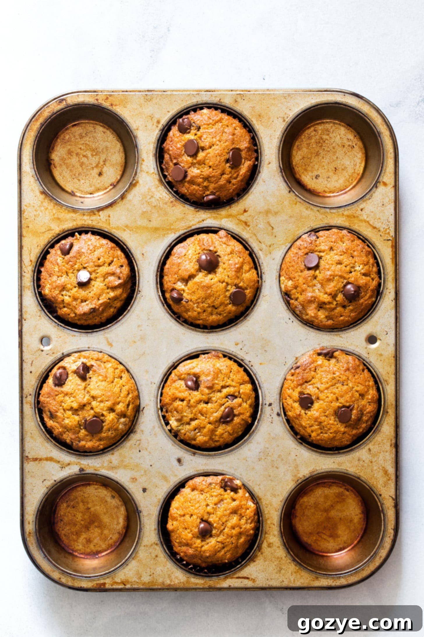 Freshly baked small batch pumpkin muffins in a cupcake pan