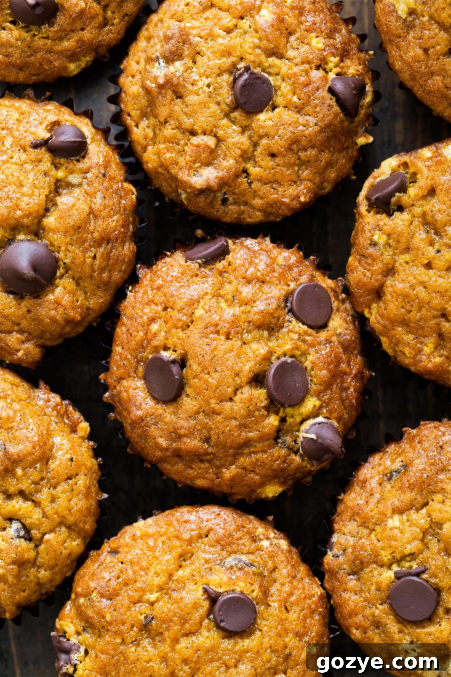 A group of chocolate chip pumpkin muffins arranged beautifully
