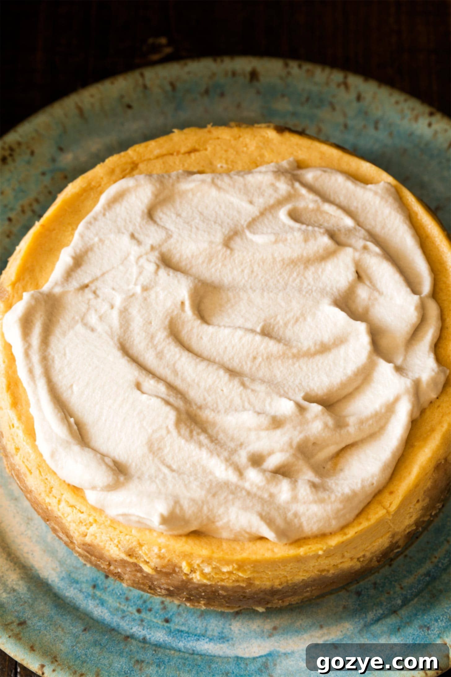 Close up of a generous dollop of maple syrup whipped cream on a slice of pumpkin cheesecake, highlighting its creamy texture