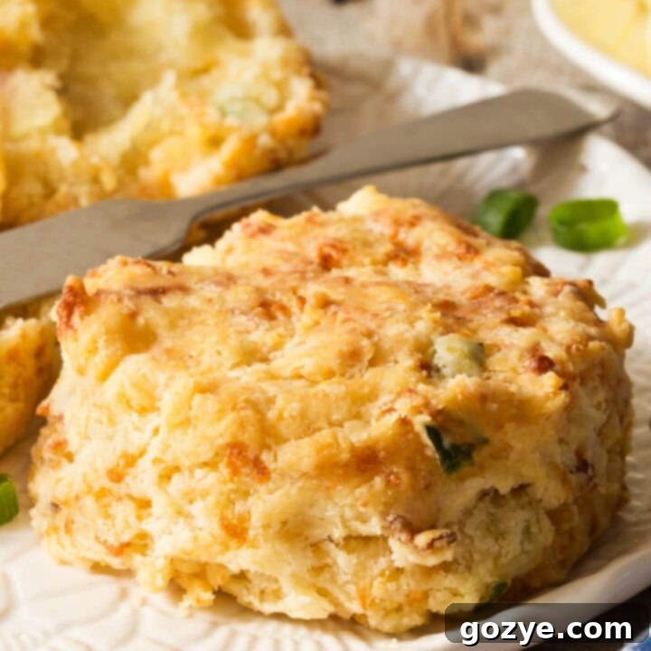 Just Enough Biscuits 9 Buttery Small Batch Biscuits on white plate
