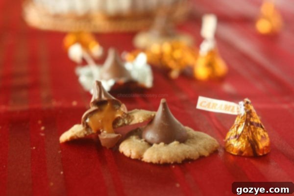 Caramel Kiss Cinnamon Spritz Cookies finished product.